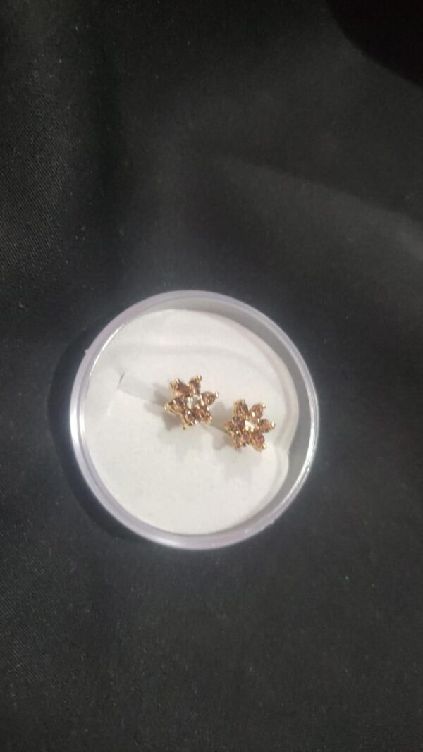 Stylized Women Ear Rings